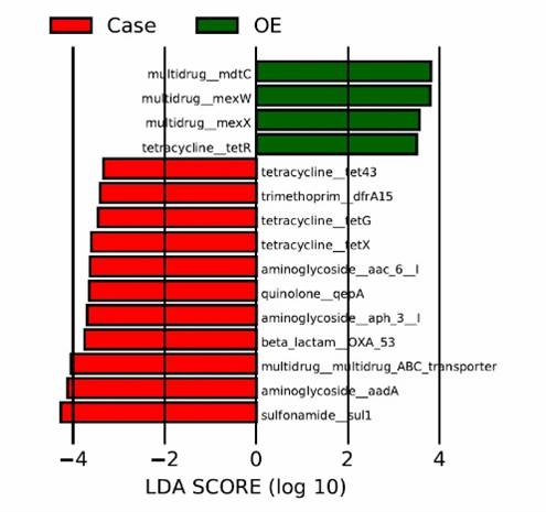 LEfSe analysis highlighting the differences among resistance gene groups.
